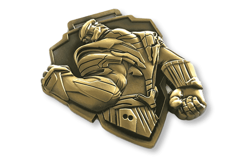 3D metal brooches